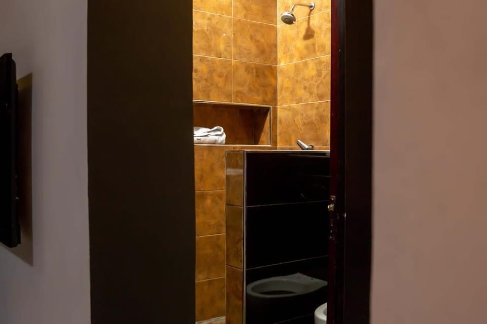 Executive Room | Bathroom | Rainfall showerhead, towels