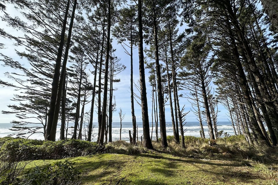 Wonderful nature and views to enjoy.