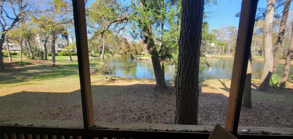 View from Deck