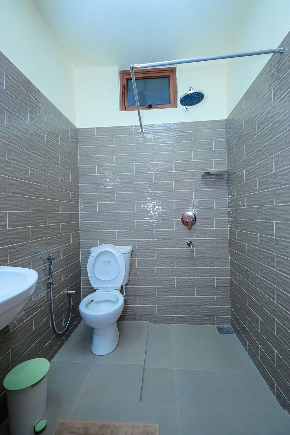 Shower, bidet, towels, soap