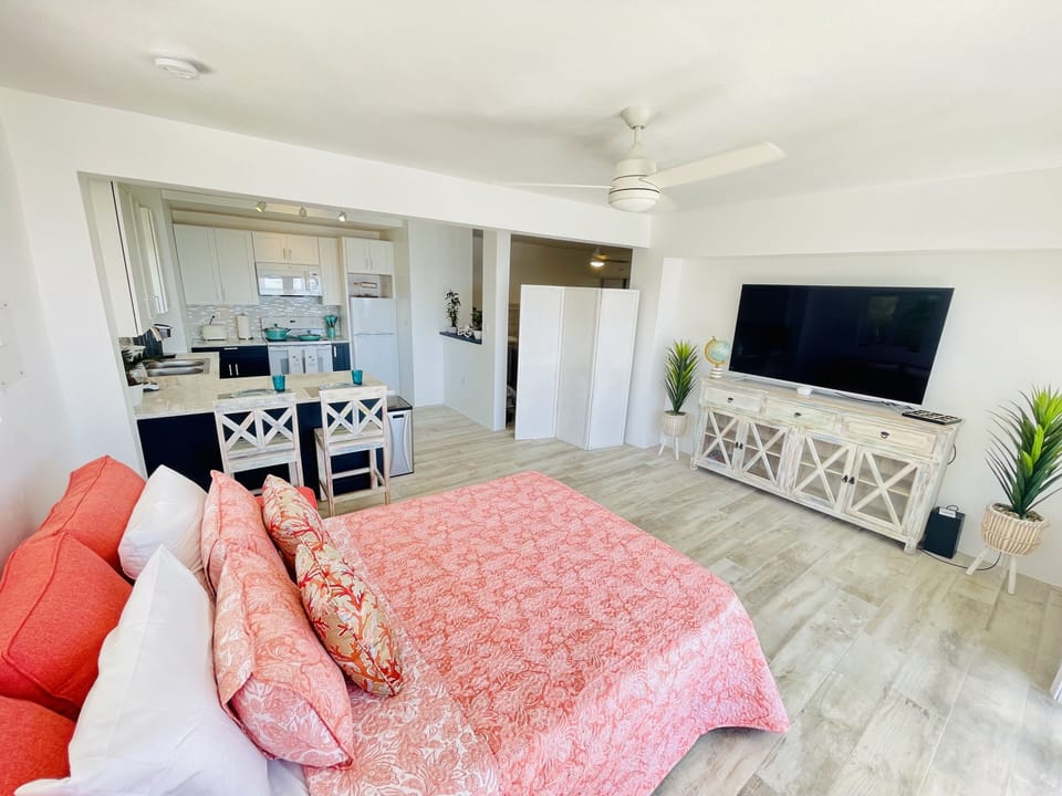 Pull out couch in the living room
