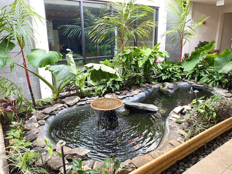 Valley Isle Resort pond with our 2 resident turtles