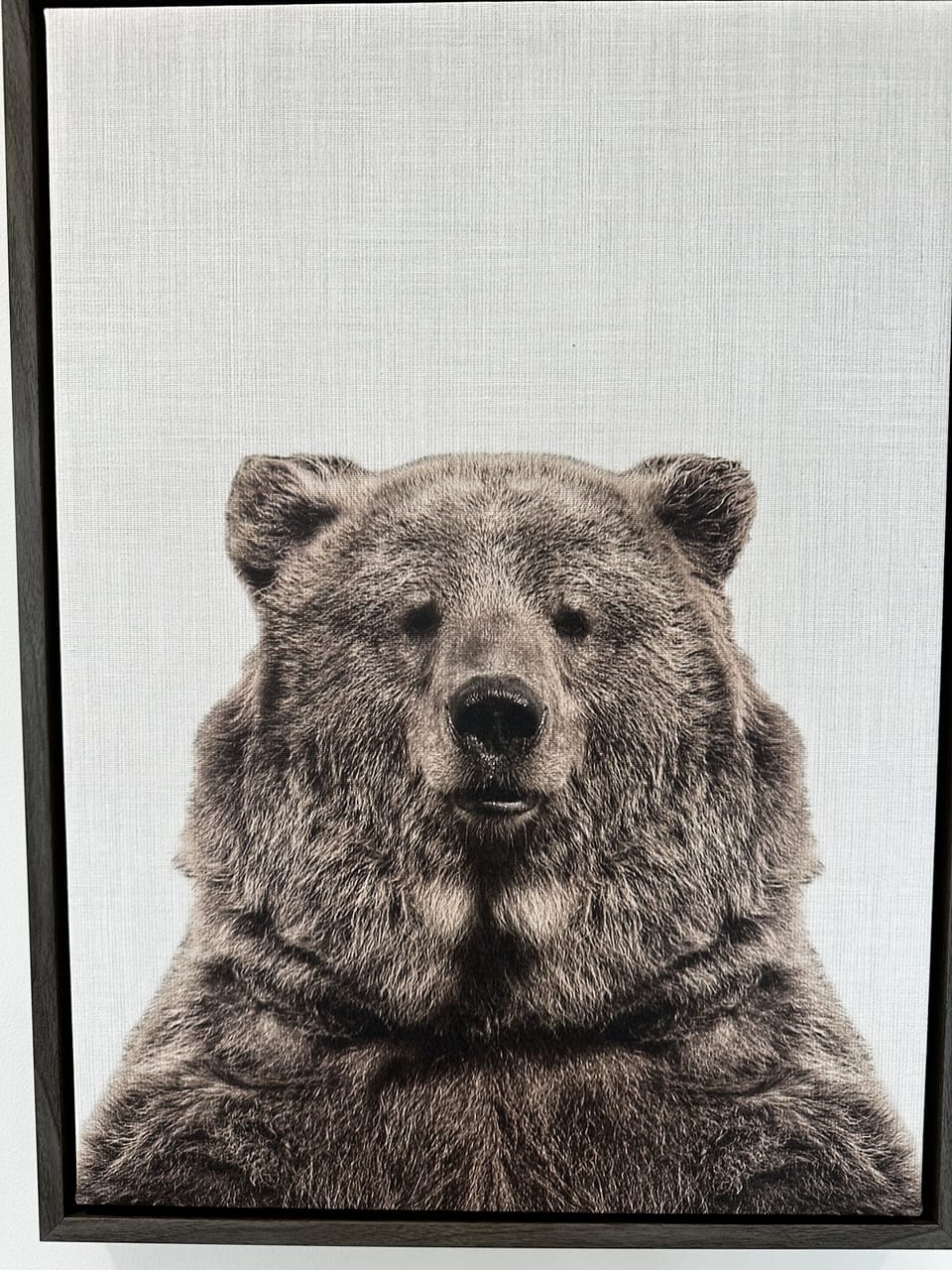 I love this bear!