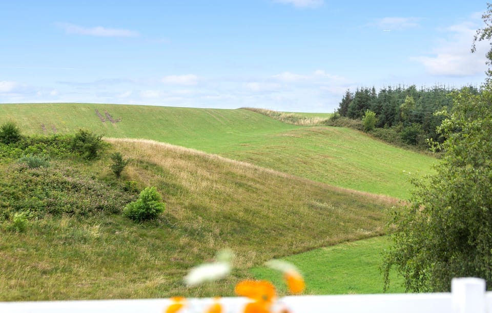 view-from-room