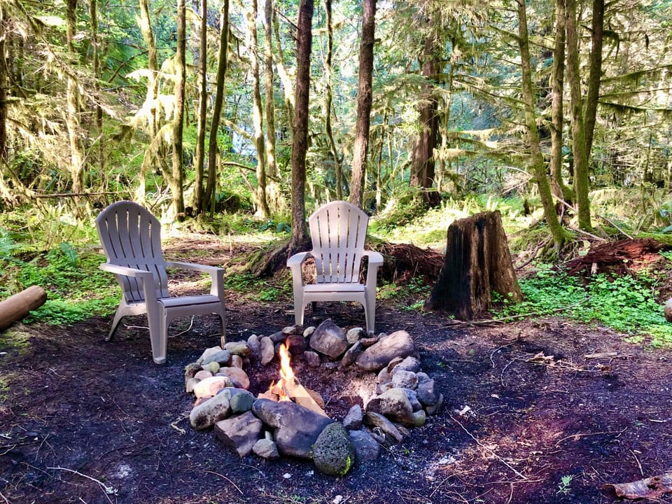 The fire pit, nestled among tall cedar and fir trees.