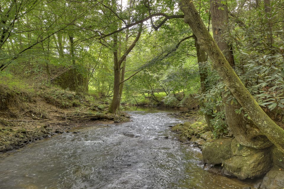 Cozy Creek is a great place to fish, tube or kayak