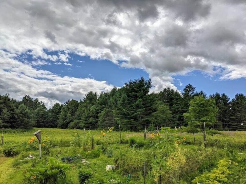 Owner's have worked with nature to provide a welcoming environment for all.