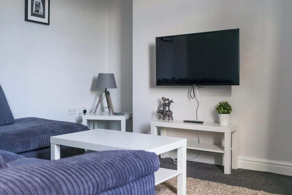 Flat-screen TV