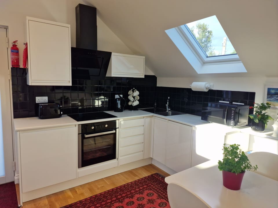 Vaulted modern kitchen with dishwasher & microwave.