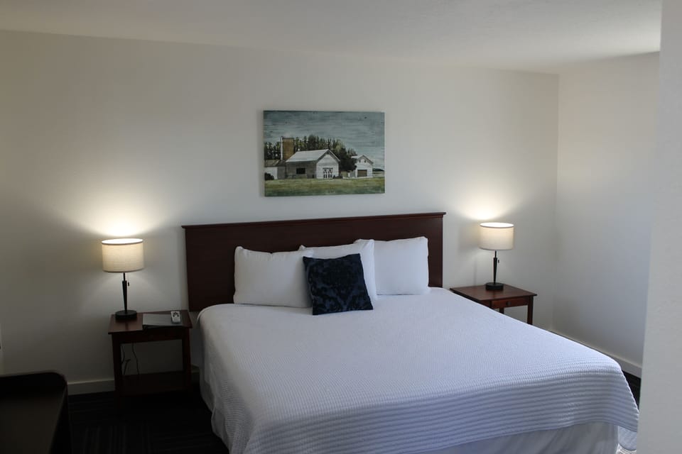 Single Room, 1 King Bed | Free rollaway beds, free WiFi, bed sheets
