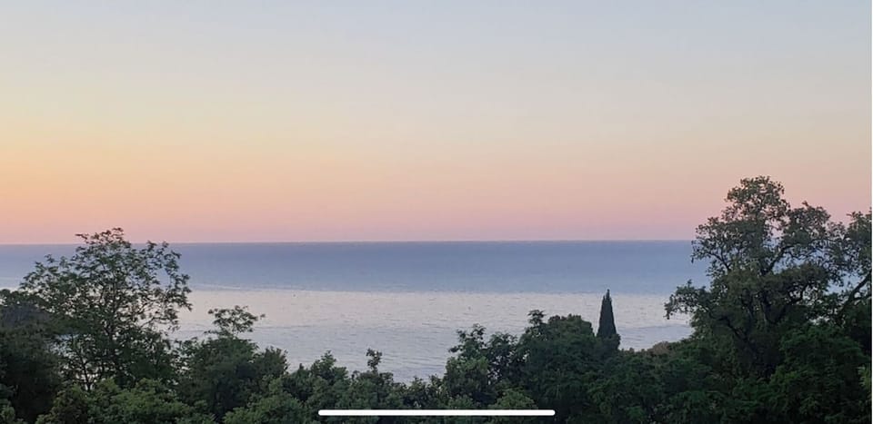 Beach/ocean view