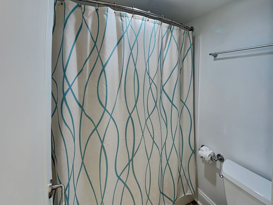 Primary Full Bathroom - Shower/Tub