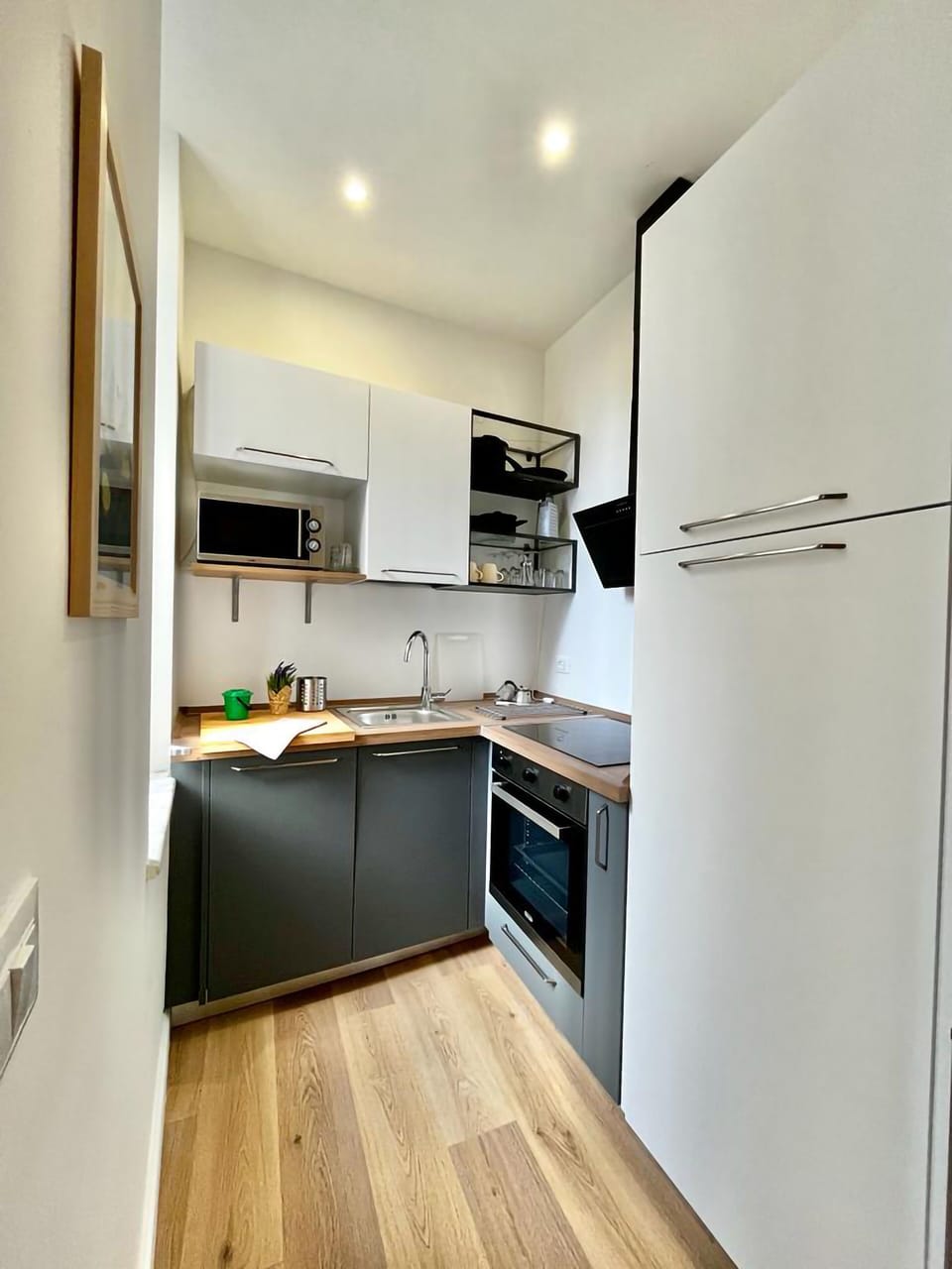 Family Apartment | Private kitchen | Full-size fridge, microwave, oven, stovetop