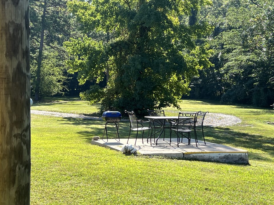 Grass, Nature, Outdoors, Park, Tree
