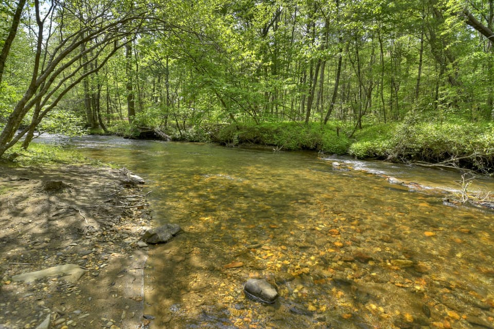 Grab you fishing pole and try your luck in the pristine waters of Fighting Town Creek