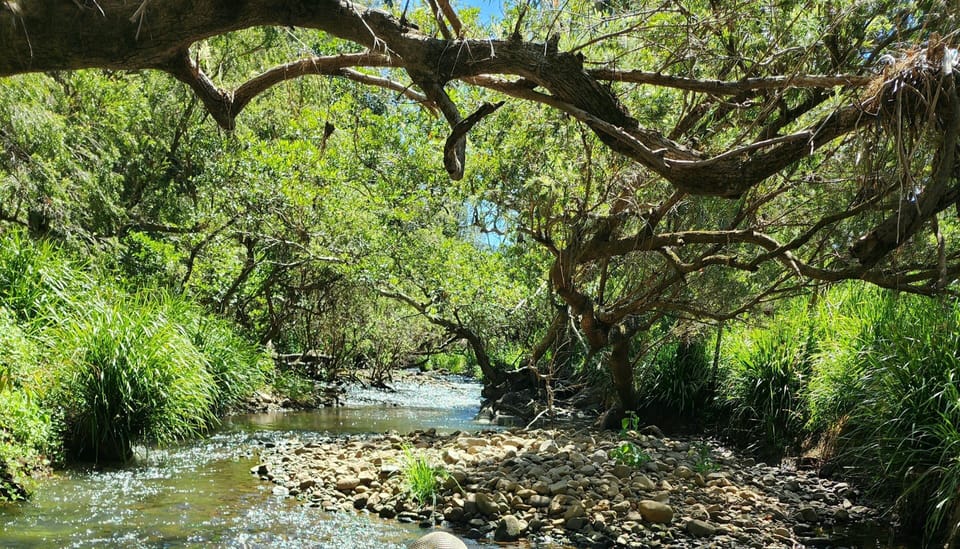 Coomera River 