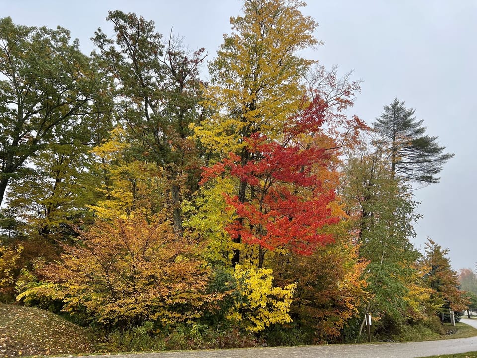 Fall Season Ready!