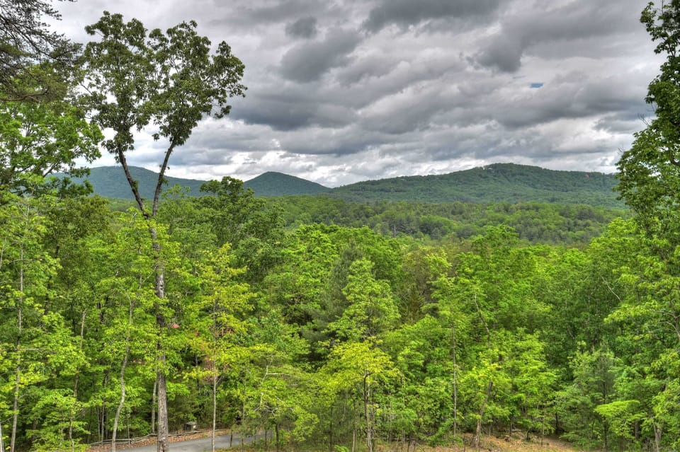 View from the main level porch