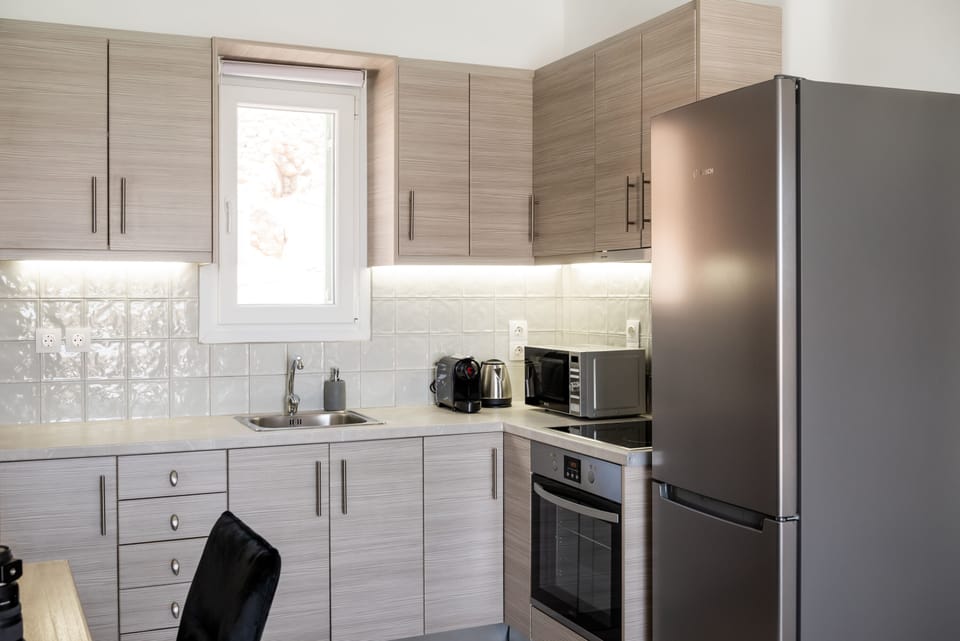 Exclusive Suite | Private kitchen | Full-size fridge, microwave, oven, stovetop