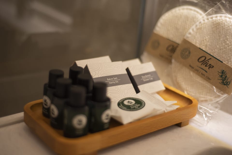 Shower, free toiletries, hair dryer, slippers
