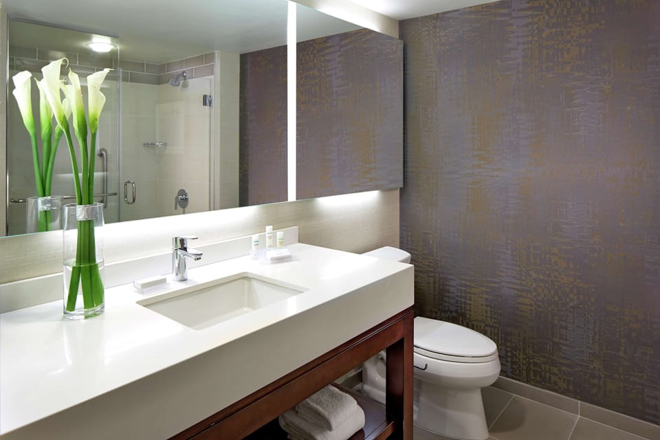 Bathroom shower