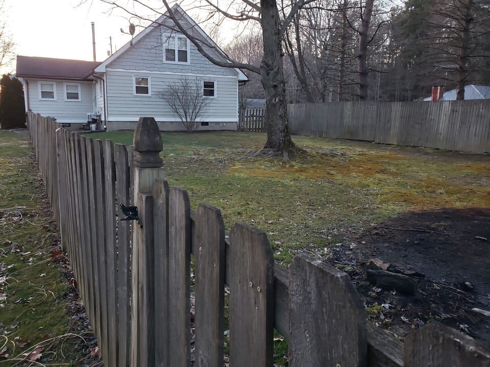 fenced backyard