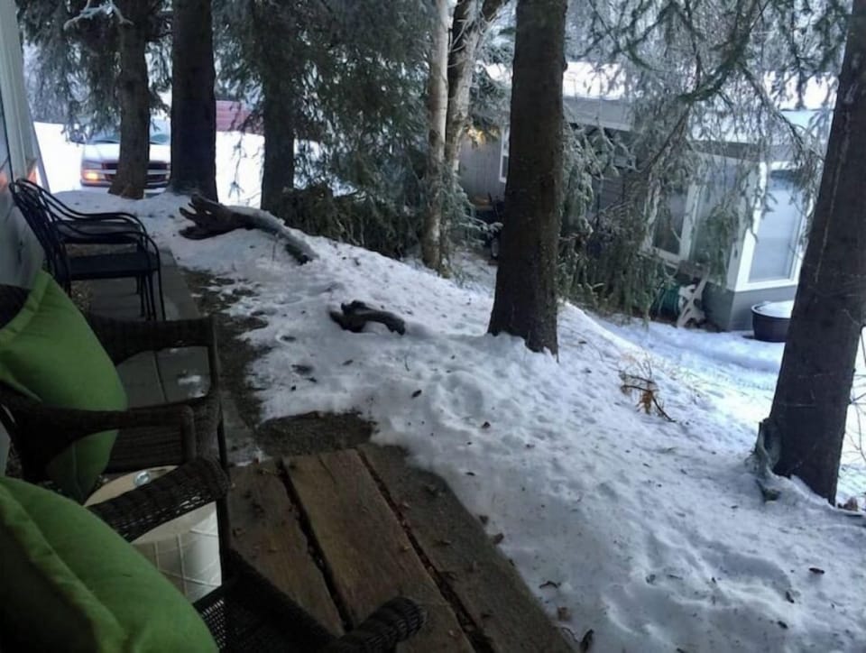 Front door patio (winter) 