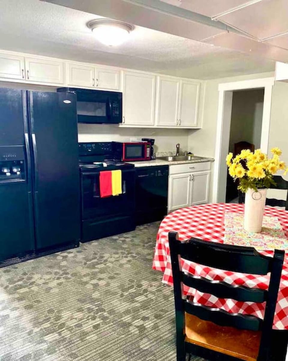 Another view of the kitchen, The Checkered Daisy theme throughout the home.