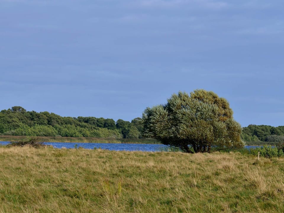 House | Water view
