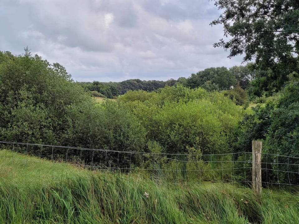 House | Miscellaneous