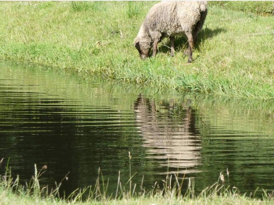 House | Miscellaneous