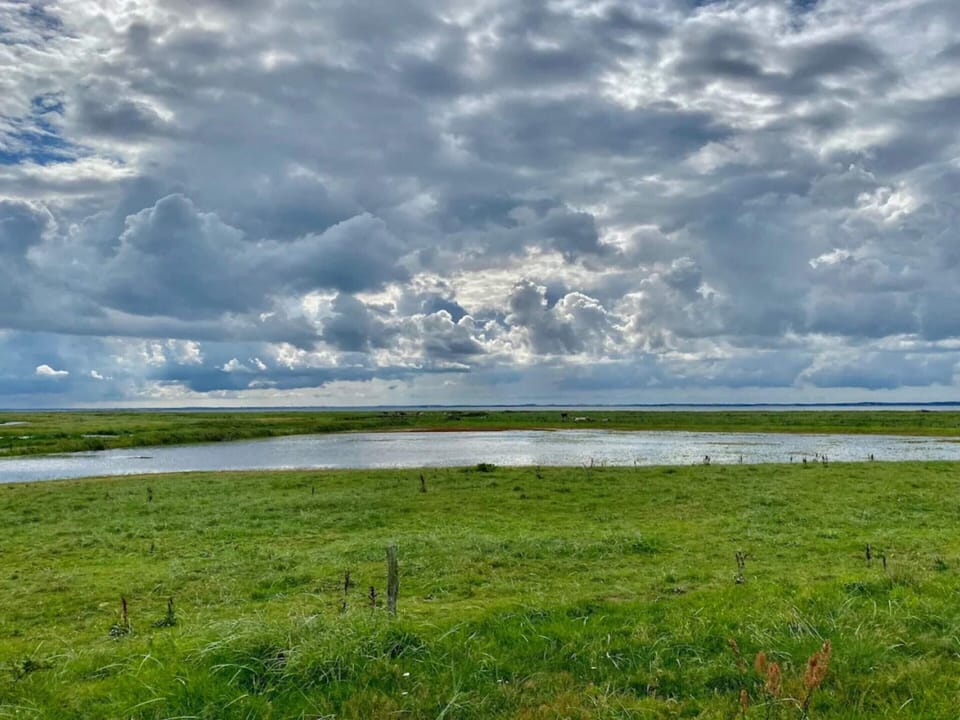 House | Water view