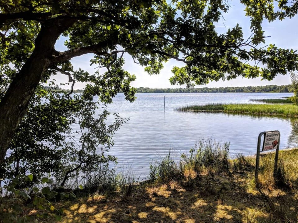 House | Water view