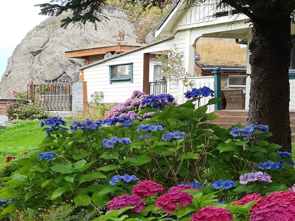 House | Exterior