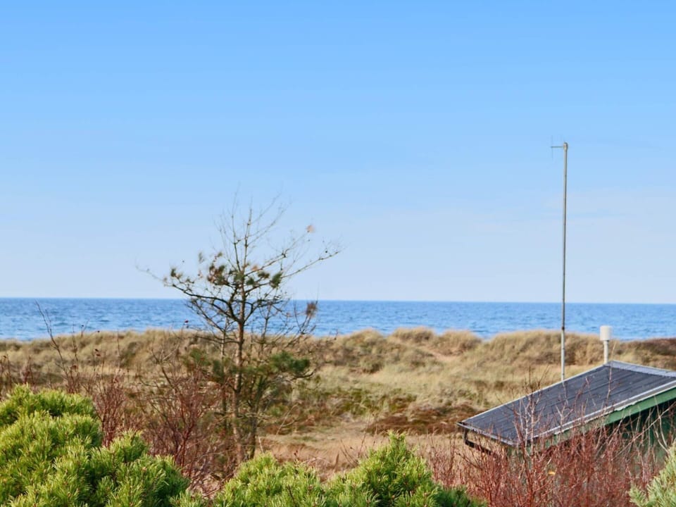 House | Beach