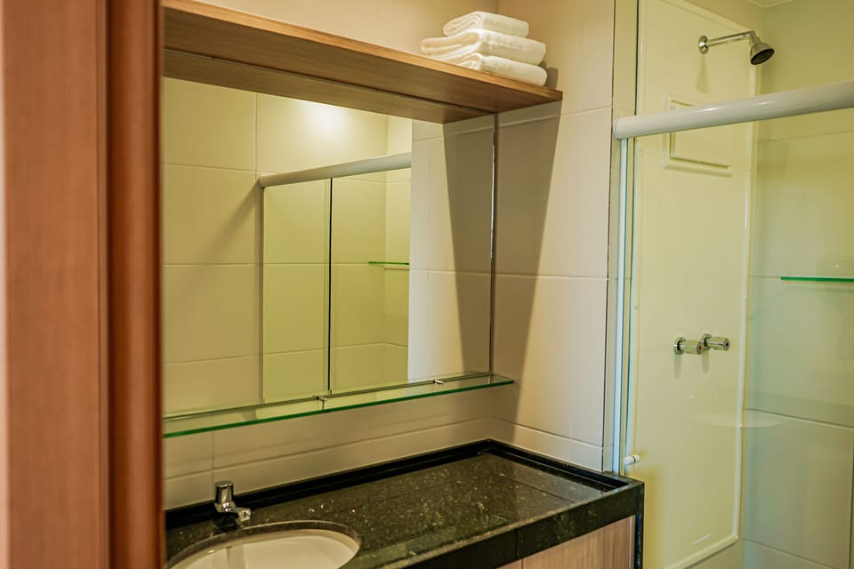 Shower, towels, toilet paper