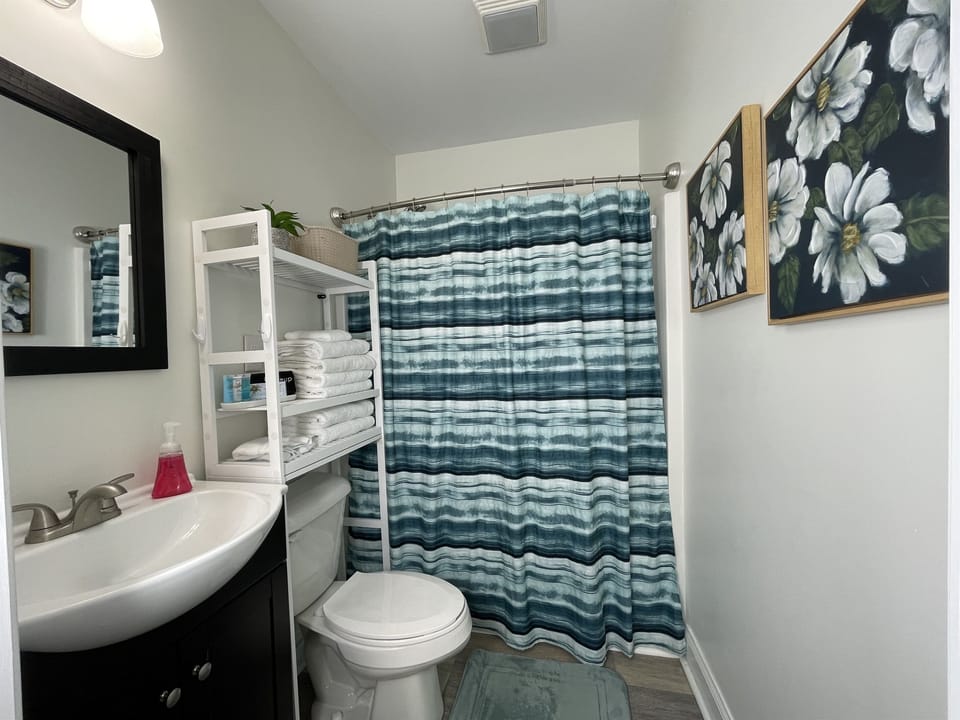 Tub/Shower combo