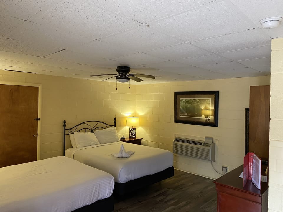 Lamp, Ceiling Fan, Bed, Furniture, Indoors
