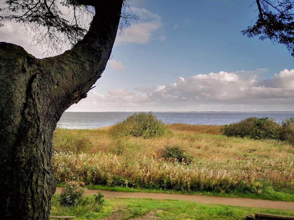 House | Water view