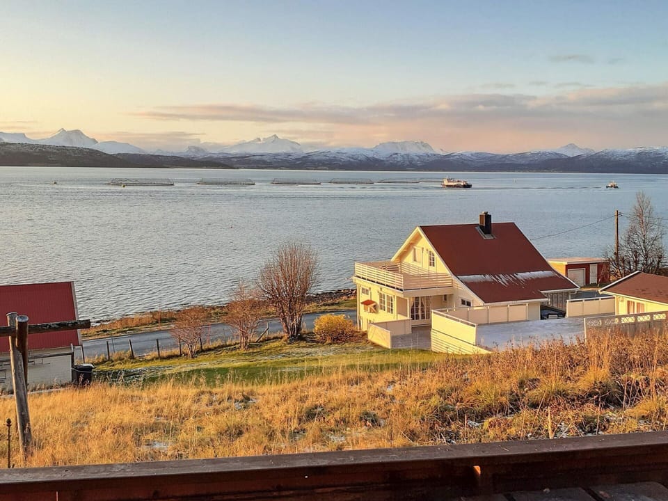 House | View from property