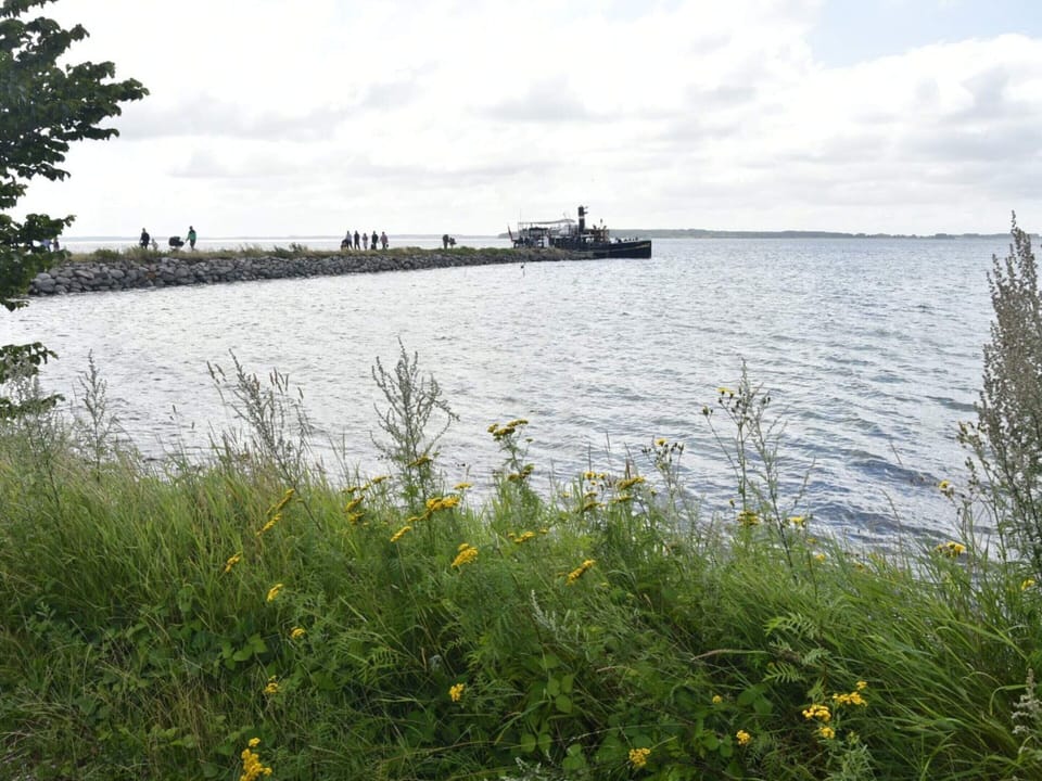 House | Water view