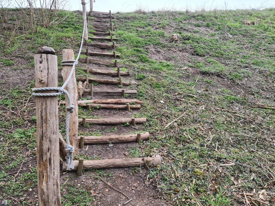 House | Property grounds