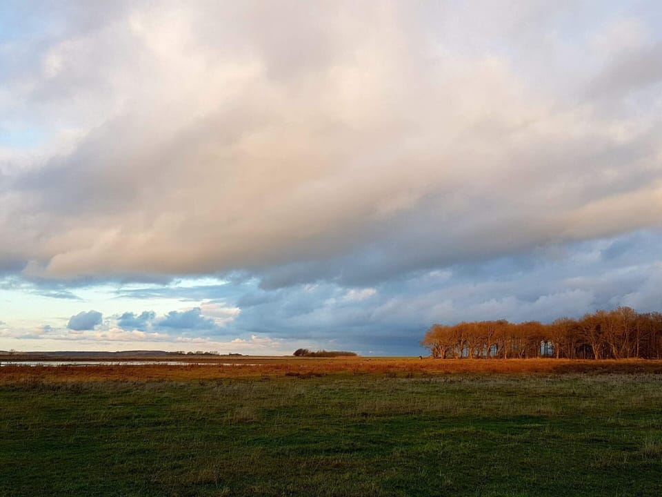 Apartment | Miscellaneous