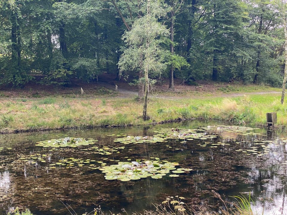 House | Water view