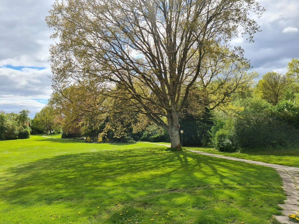 House | Property grounds