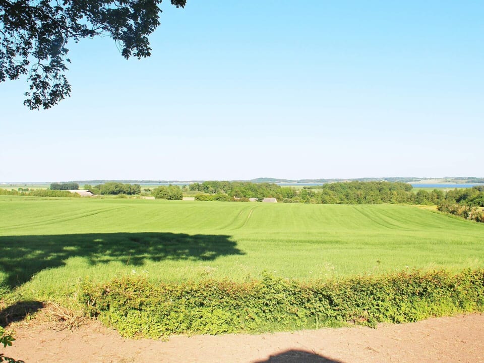 House | View from property