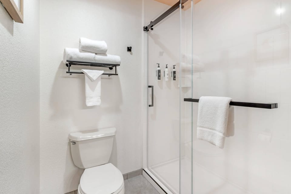 Combined shower/tub, free toiletries, hair dryer, towels