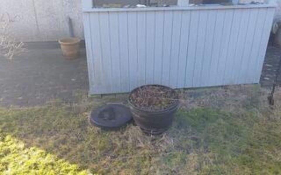 House | Property grounds