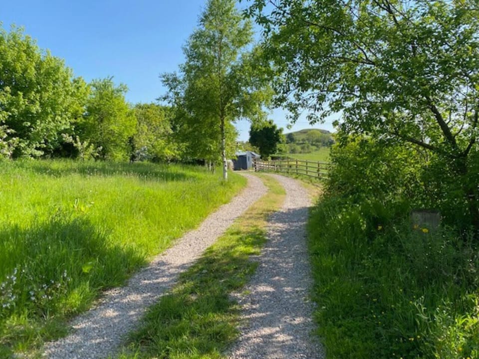 Image 28