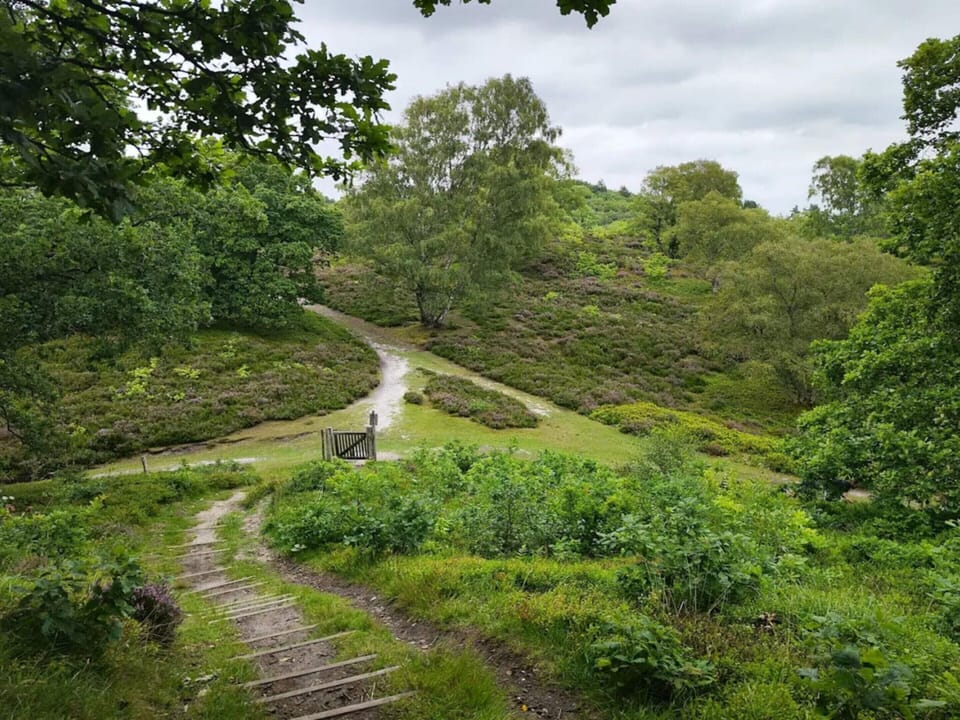 House | Miscellaneous